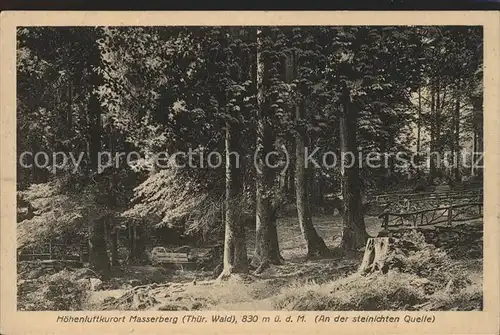 Masserberg Partie an den Steinigten Quellen Thueringer Wald Kat. Masserberg