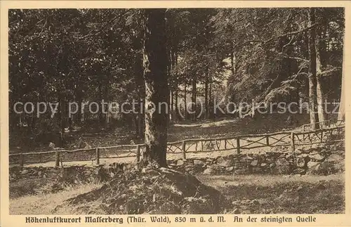 Masserberg Partie an den Steinigten Quellen Thueringer Wald Fernsicht vom Haus Daheim Kat. Masserberg