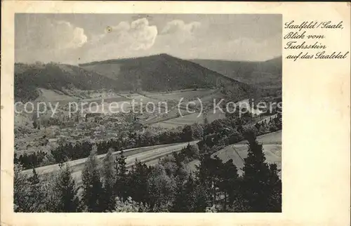 Saalfeld Saale Blick vom Fuchsstein Kat. Saalfeld