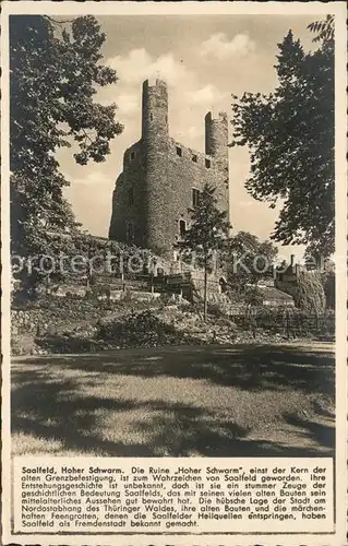 Saalfeld Saale Hoher Schwarm / Saalfeld /Saalfeld-Rudolstadt LKR