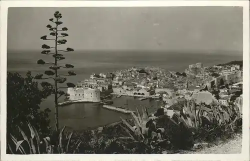 Dubrovnik Ragusa Panorama Hafen Kat. Dubrovnik