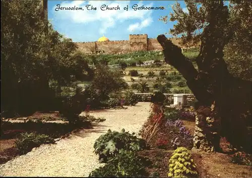 Jerusalem Yerushalayim Garden of Gethsemane Old City Wall Golden Gate Church Kat. Israel