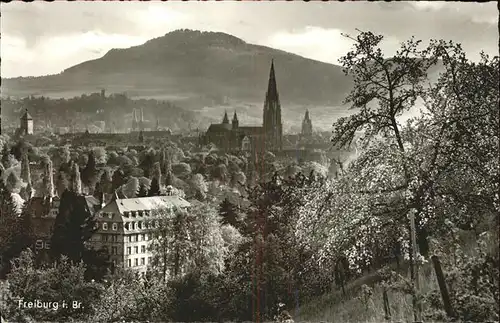 Freiburg Breisgau  Kat. Freiburg im Breisgau
