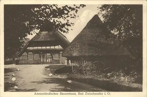 Bad Zwischenahn Ammerlaendisches Bauernhaus Kat. Bad Zwischenahn