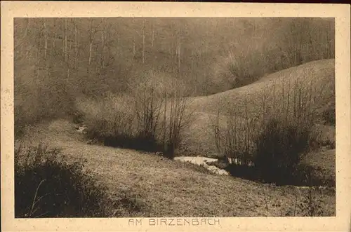 Rengsdorf Am Birzenbach Kat. Rengsdorf