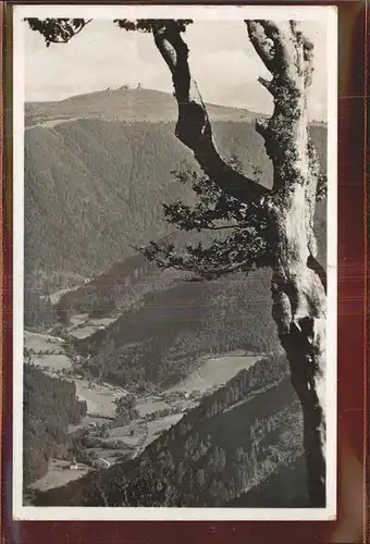 Feldberg Schwarzwald Wilhelmstal Kat. Feldberg (Schwarzwald)