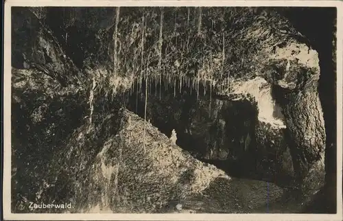 Hoehlen Caves Grottes Feengrotte Saalfeld Zauberwald  Kat. Berge