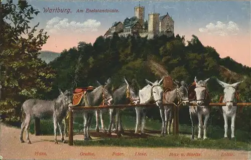 Esel Tiere Wartburg Eisenach Peter Liese Max Moritz  Kat. Tiere