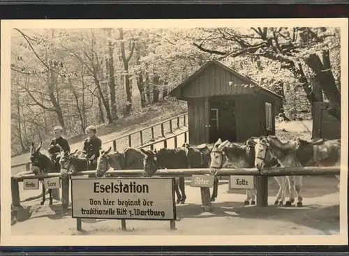 Esel Tiere Wartburg Eisenach Eselstation Kat. Tiere