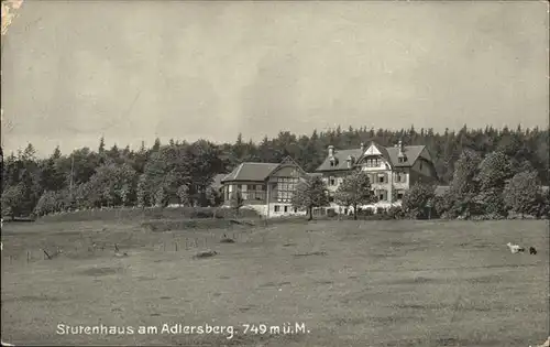 Verlag WIRO Wiedemann Nr. 1529 Stutenhaus Adlersberg Kat. Verlage