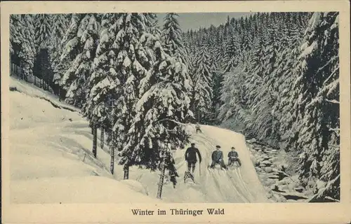 Schlitten Schnee Thueringer Wald  Kat. Sport