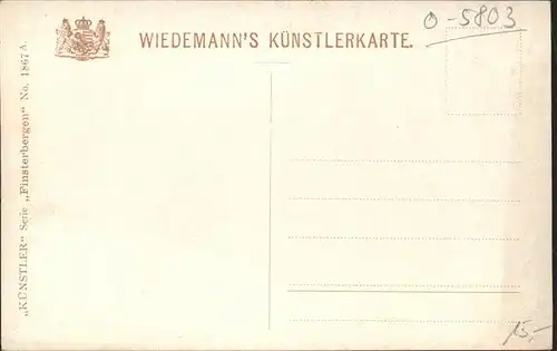 Verlag Wiedemann WIRO Nr. 1867 A Finsterbergen Brandleite Teich Kat. Verlage