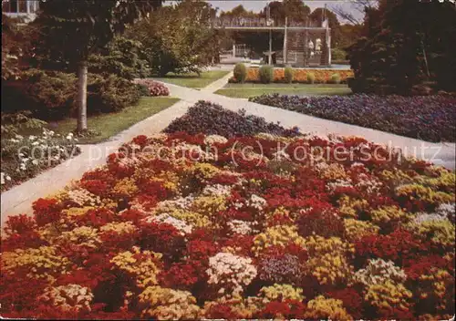 Gartenbauaustellung Erfurt Blumenbeet Nemesia  Kat. Expositions