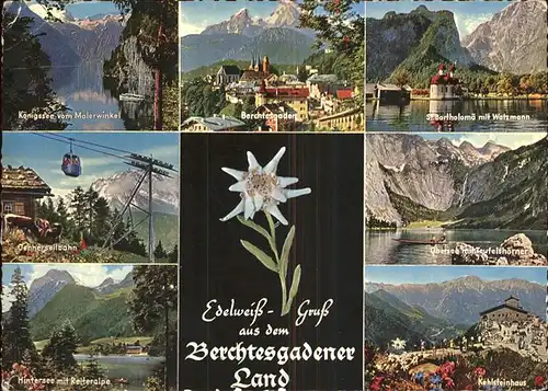 Edelweiss Seilbahn Berchtesgaden Kehlsteinhaus Kat. Pflanzen