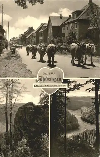 Frauenwald Thueringen Viehtrieb durchs Dorf Teilansichten Kat. Frauenwald