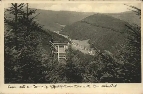 Frauenwald Thueringen Am Silberblick Kat. Frauenwald