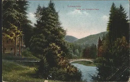 Schwarzatal Partie am Schweizerhaus Kat. Rudolstadt