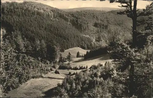 Frauenwald Thueringen Blick ins Traenkbachtal Kat. Frauenwald