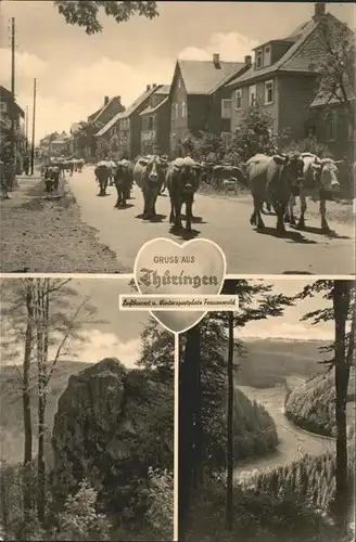 Frauenwald Thueringen Viehtrieb Felsen Talblick Kat. Frauenwald