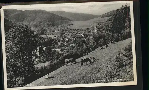 Leutenberg Thueringen von der Schweizerhoehe Kat. Leutenberg