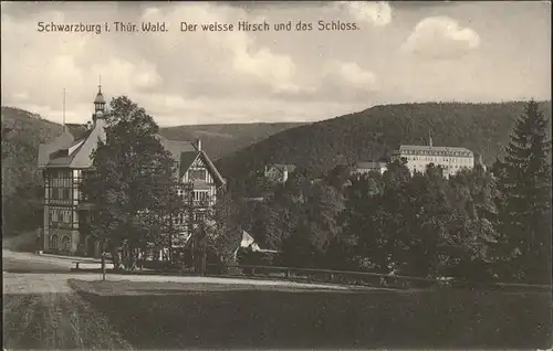 Schwarzburg Thueringer Wald Der weisse Hirsch mit Schloss Kat. Schwarzburg