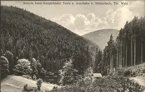 Stuetzerbach Schorte Knoepfelstaler Teich Auerhahn Kat. Stuetzerbach