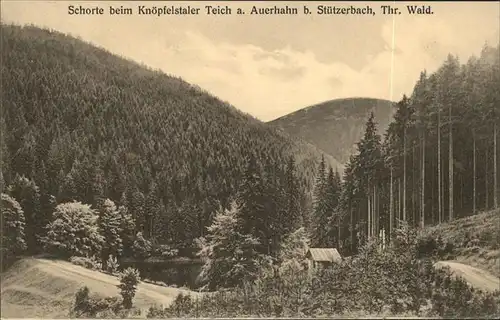 Stuetzerbach Schorte Knoepfelstaler Teich a. Auerhahn Kat. Stuetzerbach
