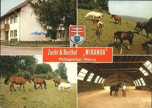Philippsthal Werra Zucht und Reithof "Miranda" Pferde W. R. Laufkoetter Kat. Philippsthal (Werra)