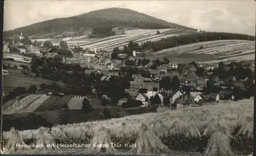 Meuselbach Schwarzmuehle Panorama mit Kuppe Kat. Meuselbach Schwarzmuehle