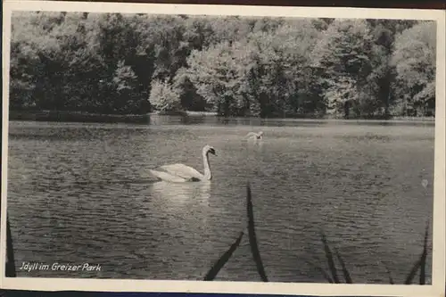 Greiz Thueringen See Schwaene Park Kat. Greiz