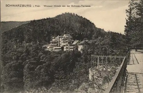 Schwarzburg Thueringer Wald Weisser Hirsch von Schlossterrasse Kat. Schwarzburg