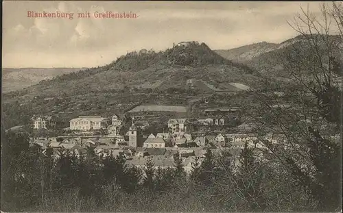 Bad Blankenburg Panorama mit Ruine Greifenstein Kat. Bad Blankenburg