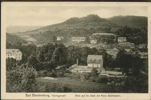 Bad Blankenburg Panorama mit Ruine Greifenstein Kat. Bad Blankenburg