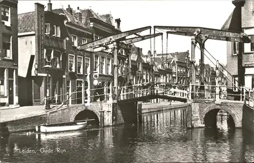 Leiden Oude Rijn Kat. Leiden
