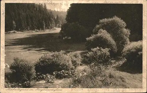 Titschendorf Frankenwald Kat. Wurzbach