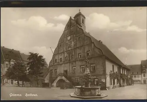 Grimma Rathaus u.Marktbrunnen Kat. Grimma