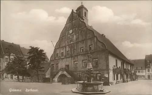Grimma Rathaus mit Marktbrunnen Kat. Grimma