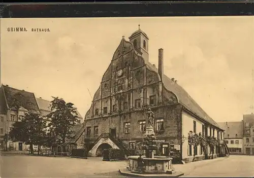 Grimma Rathaus u.Marktbrunnen Kat. Grimma