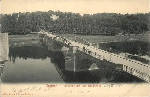 Grimma Muldenbruecke u.Stadtwald Kat. Grimma
