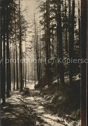 Eisenberg Thueringen Waldweg im Muehltal / Eisenberg /Saale-Holzland-Kreis LKR