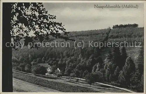 Eisenberg Thueringen Naupoldsmuehle im Muehltal / Eisenberg /Saale-Holzland-Kreis LKR