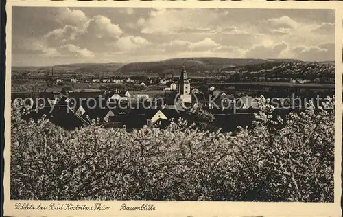 Pohlitz Bad Koestritz Mit Baumblueten Kat. Bad Koestritz