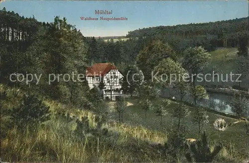 Eisenberg Thueringen Waldhaus Naupoldsmuehle im Muehltal Kat. Eisenberg