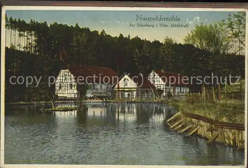 Eisenberg Thueringen Naupoldsmuehle im Muehltal Kat. Eisenberg