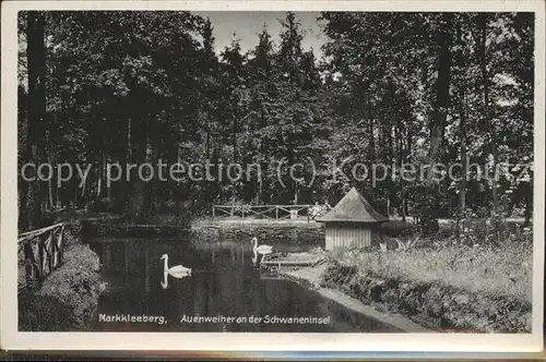 Markkleeberg Auenweiher an der Schwaneninsel mit Schwaenen Kat. Markkleeberg