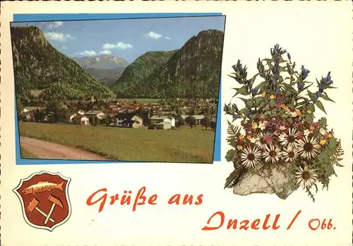 Inzell Edelweiss Wappen Kat. Inzell