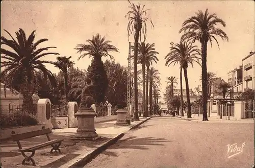 Hyeres Avenue des Palmiers Kat. Hyeres