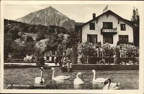 Faulensee Hotel Seerose Schwaene Kat. Faulensee