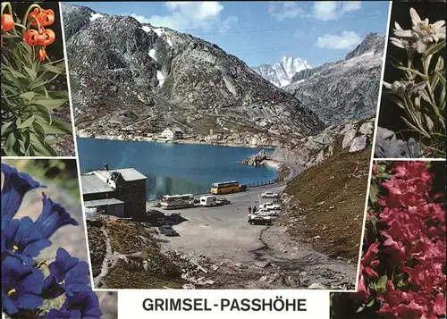 Grimsel Grimsel Passhoehe mit Totensee Kat. Grimsel