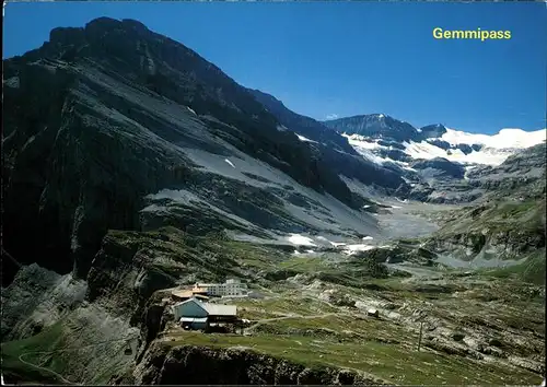 Gemmipass Wallis  Kat. Gemmipass